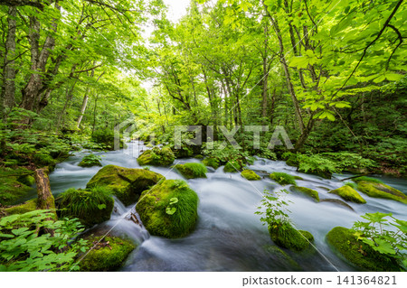 青森縣:十和田市奧入瀨峽谷鬱鬱蔥蔥,景色令人嘆為觀止 青森縣:十和田市奧入瀨峽谷鬱鬱蔥蔥,景色令人嘆為觀止 141364821