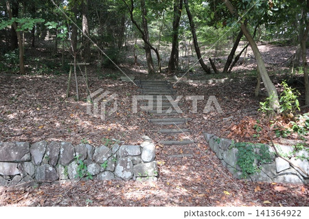 神戶西區西神中央公園:雜草的天堂 神戶西區西神中央公園:雜草的天堂 141364922