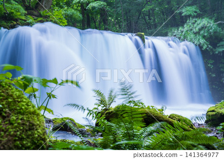 Choshi Great Waterfall (Oirase Stream), Aomori Prefecture, surrounded by fresh greenery, Towada City Choshi Great Waterfall (Oirase Stream), Aomori Prefecture, surrounded by fresh greenery, Towada City 141364977