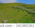 Chiburijima Plateau 141365161