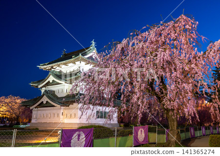 弘前公園,下白金町,青森縣弘前市:弘前城天守閣夜景燈火通明,周圍環繞著櫻花,包括垂枝櫻花。 弘前公園,下白金町,青森縣弘前市:弘前城天守閣夜景燈火通明,周圍環繞著櫻花,包括垂枝櫻花。 141365274