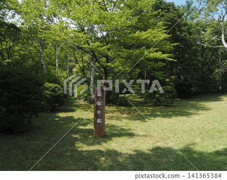 Kannon-numa Pond in mid-August (Shimogo Town, Fukushima Prefecture) 141365384