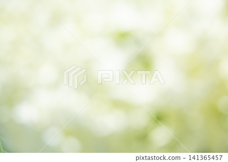 背景素材、模糊素材、綠色、白色、散景、清新自然光線穿透的畫面。 背景素材、模糊素材、綠色、白色、散景、清新自然光線穿透的畫面。 141365457