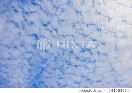 Cirrocumulus clouds and gaps in the summer blue sky Cirrocumulus clouds and gaps in the summer blue sky 141365954