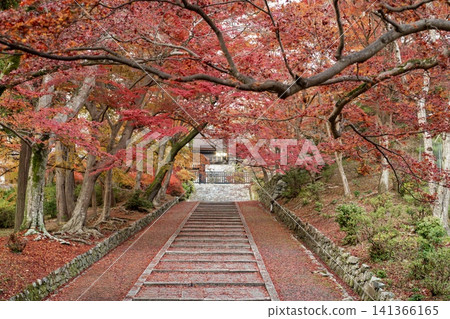 京都毘沙門堂的秋景,層林盡染,美不勝收。 京都毘沙門堂的秋景,層林盡染,美不勝收。 141366165