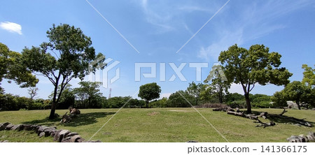 An open, natural landscape where elands lie down. An open, natural landscape where elands lie down. 141366175