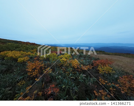 10月上旬的月山（山形縣鶴岡市、莊內町、西川町） 141366271