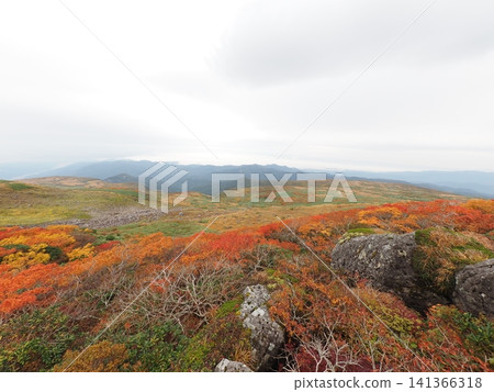 10月上旬的月山(山形縣鶴岡市、莊內町、西川町) 10月上旬的月山(山形縣鶴岡市、莊內町、西川町) 141366318