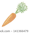 Watercolor illustration of a carrot 141366479