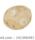 Watercolor illustration of potatoes 141366481