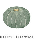 Pumpkin watercolor illustration 141366483