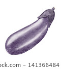 Eggplant watercolor illustration 141366484