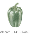 Watercolor illustration of bell pepper 141366486