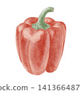Watercolor illustration of a red bell pepper 141366487