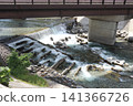 Summer river 141366726