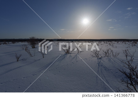 北海道北部佐羅別市白雪皚皚的平原上,展現出一幅冬日美景。令人驚嘆的雪原風光。 北海道北部佐羅別市白雪皚皚的平原上,展現出一幅冬日美景。令人驚嘆的雪原風光。 141366778