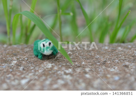 Frog felt doll Frog felt doll 141366851