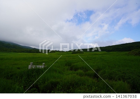 Tatsugahara Marshland in late July (Yurihonjo City, Akita Prefecture) Tatsugahara Marshland in late July (Yurihonjo City, Akita Prefecture) 141367038
