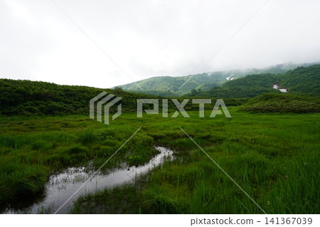 Tatsugahara Marshland in late July (Yurihonjo City, Akita Prefecture) 141367039