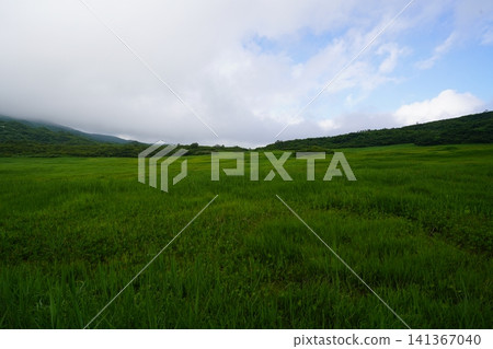 Tatsugahara Marshland in late July (Yurihonjo City, Akita Prefecture) Tatsugahara Marshland in late July (Yurihonjo City, Akita Prefecture) 141367040