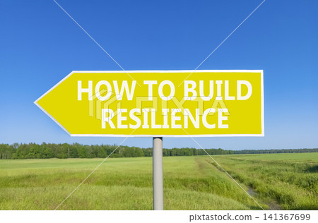 How to build resilience symbol. Concept words How to build resilience on beautiful yellow road sign. Beautiful blue sky green field background. Business how to build resilience concept. Copy space. 141367699