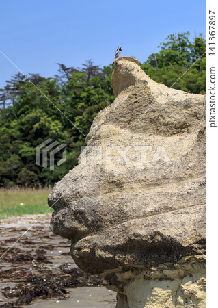 A strangely shaped rock resembling the profile of a cat or dog, and a small wagtail bird. A strangely shaped rock resembling the profile of a cat or dog, and a small wagtail bird. 141367897