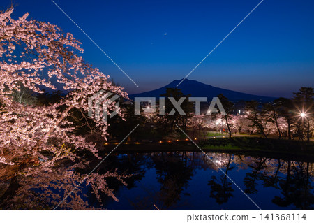 青森縣弘前市下白金町弘前公園：從弘前城天守閣腳下眺望，蓮池護城河畔的櫻花樹在燈光的映襯下，岩木山的輪廓清晰可見。 141368114