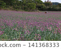 樂京花 141368333