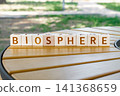 motivational word Biosphere made of letters on wooden cubes 141368659