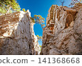 rock fault and growing pines 141368668