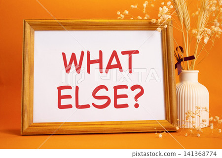 What else symbol. Concept words What else on beautiful wooden picture frame. Beautiful orange background with flower vase. Business and What else concept. Copy space. What else symbol. Concept words What else on beautiful wooden picture frame. Beautiful orange background with flower vase. Business and What else concept. Copy space. 141368774