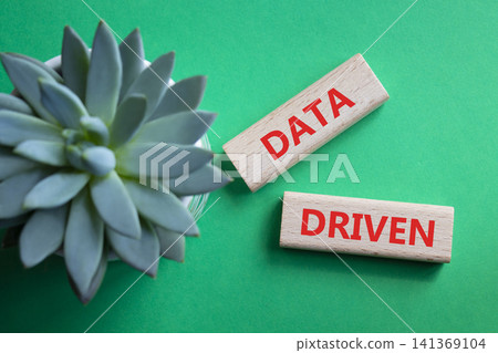 STRONG IMPACT symbol. Concept word STRONG IMPACT on wooden blocks. Beautiful green background with succulent plant. Business and STRONG IMPACT concept. Copy space STRONG IMPACT symbol. Concept word STRONG IMPACT on wooden blocks. Beautiful green background with succulent plant. Business and STRONG IMPACT concept. Copy space 141369104