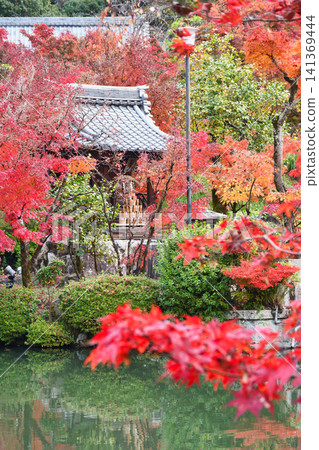 Kyoto, Eikan-do Temple (Zenrin-ji Temple), Benten Shrine: Beautiful autumn foliage (Sakyo-ku, Kyoto City, Kyoto Prefecture) Kyoto, Eikan-do Temple (Zenrin-ji Temple), Benten Shrine: Beautiful autumn foliage (Sakyo-ku, Kyoto City, Kyoto Prefecture) 141369444