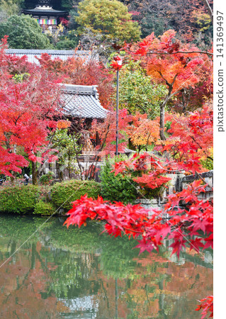京都、永觀堂（善林寺）、弁天神社：美麗的紅葉（京都府京都市左京區） 141369497