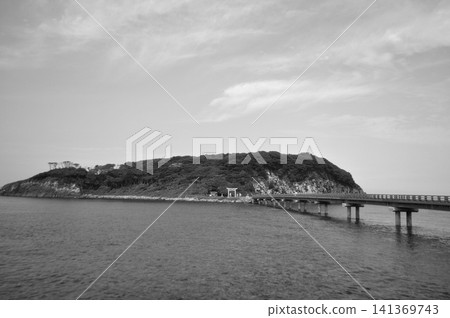 尾島 尾島 141369743