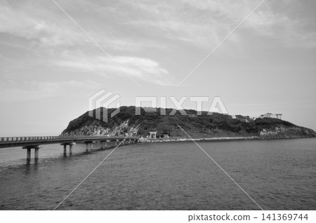 尾島 141369744