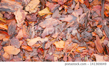 Red Brown Wooden Bark Mulch Chips Texture Background Ground Red Brown Wooden Bark Mulch Chips Texture Background Ground 141369849