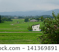 A view of the Shiwa countryside from the Araebisu Memorial Hall in Shiwa District, Iwate Prefecture, with blueberries ripening abundantly in the foreground. 141369891