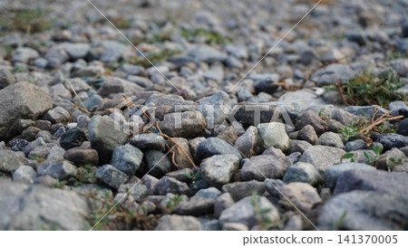 Macro close-up of scattered gray and brown river rocks with subtle variations and texture, geology concept. Macro close-up of scattered gray and brown river rocks with subtle variations and texture, geology concept. 141370005