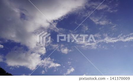 Bright daytime photograph of vibrant blue sky with scattered white cumulus clouds and tree silhouette, weather concept. 141370009