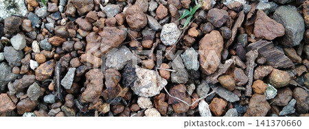 A mixture of gravel and laterite, topped with a layer of soil. A mixture of gravel and laterite, topped with a layer of soil. 141370660