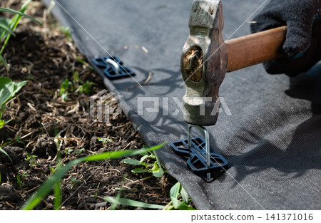 A person wearing boots and gloves is kneeling on the ground on a flower bed installing black weed fabric A person wearing boots and gloves is kneeling on the ground on a flower bed installing black weed fabric 141371016