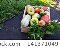 male farmer holding a basket with vegetables on the background of nature. 141371049