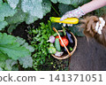 male farmer holding a basket with vegetables on the background of nature. 141371051