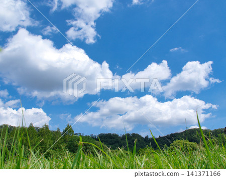 夏天天空和白色雲彩 夏天天空和白色雲彩 141371166