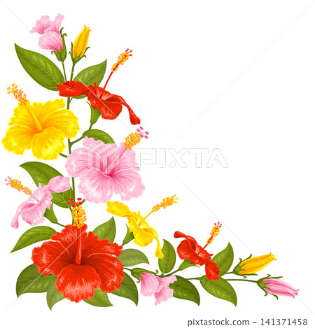 Floral Corner Decoration With Multicolored Hibiscus Flowers Floral Corner Decoration With Multicolored Hibiscus Flowers 141371458