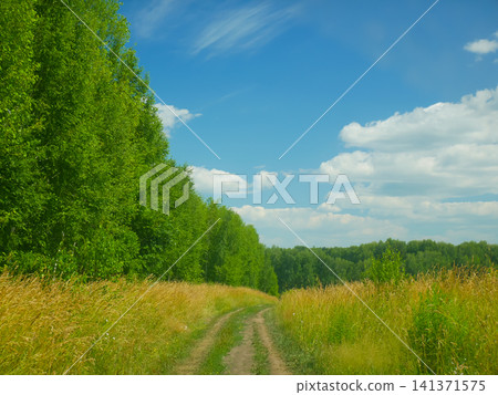 Country road leading through green forest and yellow meadow. Rural landscape with summer sky. Path through nature scenery for adventure and travel concept. Tranquil outdoor vista. Country road leading through green forest and yellow meadow. Rural landscape with summer sky. Path through nature scenery for adventure and travel concept. Tranquil outdoor vista. 141371575