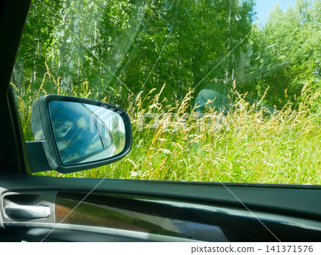 View from a car window of tall grass and green forest. Rearview mirror showing a reflection of the sky. Travel and road trip journey through nature landscape during the summer season. View from a car window of tall grass and green forest. Rearview mirror showing a reflection of the sky. Travel and road trip journey through nature landscape during the summer season. 141371576