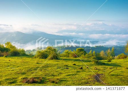 carpathian mountain landscape on a foggy morning. outdoor adventure image for stunning view of meadow in morning light. mountain field and rolling countryside valley 141371877