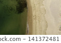 Serene Coastal Landscape With Algae. Calm Sandy Coast With Lush Green Sea And Algae Patches Visible . Media 141372481